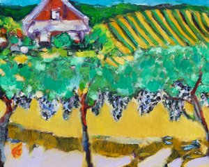 Merlot-Trauben, Napa von Richard Fox