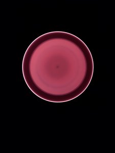 Ohne Titel, 2004 von Richard Green