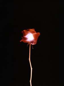 Ohne Titel, 2007 von Richard Green