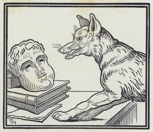 Der Fuchs und die Maske