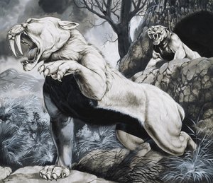 Säbelzahn-Tiger