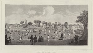 Cricket in Moulsey Hurst
