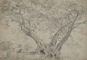 Der Arbra Sacra am Ufer des Lago di Nemi, ca. 1754-56 von Richard Wilson