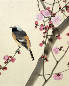 Vogel - Japanische Zeichnung von Riou Chim