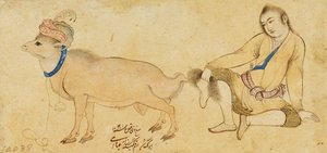 Studie eines jungen Mannes und eines Widders, 1630-31 oder später