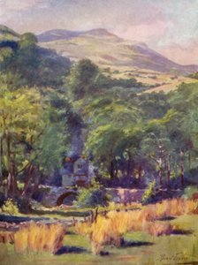 Duffws Berg