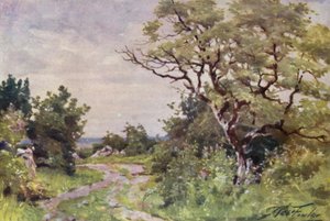 Feldweg, nahe Llanrug von Robert (after) Fowler