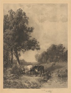 Ohne Titel (Kühe und Kälber an einem Bach)