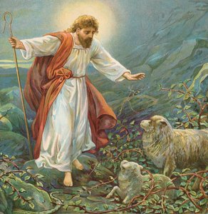 Jesus Christus, der zärtliche Hirte