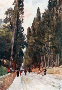 Blick die Zypressenallee von Poggio Imperiale hinunter, auf dem Weg nach Arcetri