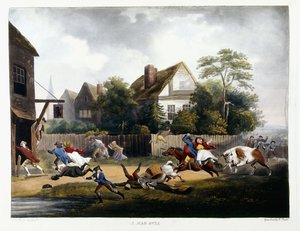Ein wütender Stier, 1806