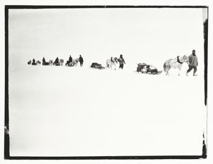 Ponys auf dem Marsch, Große Eisbarriere, 2. Dezember