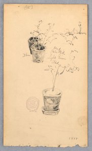 Blumentöpfe, 1877 von Robert Frederick Blum