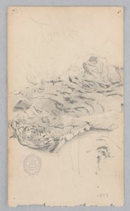 Tigefell-Teppich