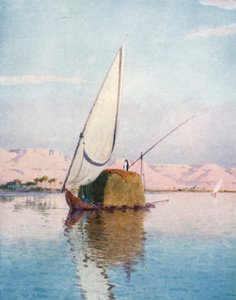 Ein Tibbin-Boot auf dem Nil