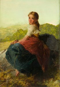 Farnsammler
