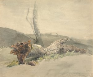 Der gefallene Baum