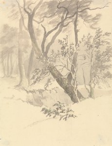 Der Wald