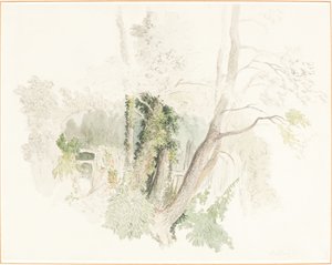 Bäume in Beddington