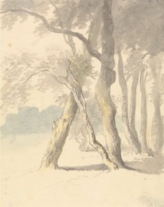 Waldstudie