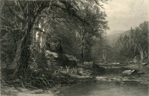 Die Adirondack-Wälder, 1874 von Robert Hinshelwood