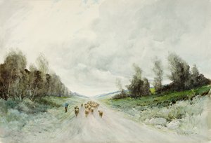 Eine Straße in Northumberland von Robert J. Hewitt