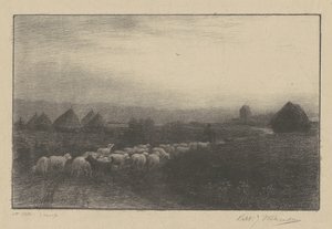 Die Rückkehr der Herde