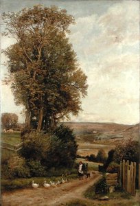 Das Tal von Rothbury