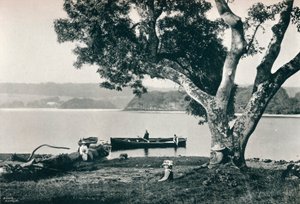 Kircheninsel, Lough Gill, Sligo