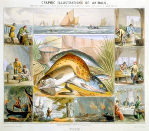Fisch