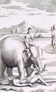 Eine Hinrichtung durch einen Elefanten von Robert Knox