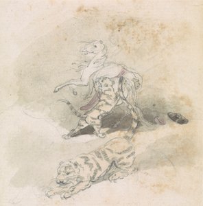 Ein Tiger greift ein Pferd an