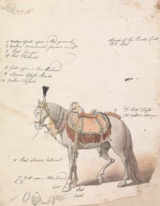 Skizze eines aufwendig gesattelten Pferdes