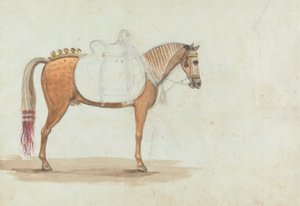 Unvollendete Skizze eines aufwendig gesattelten Pferdes