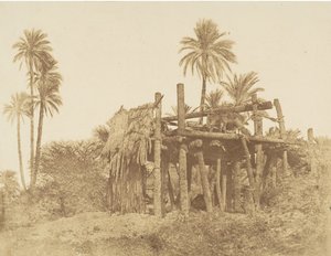 Nubische Sakkieh oder Wasserrad, ca. 1856