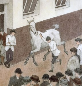 Die Gangarten zeigen, Aldridge