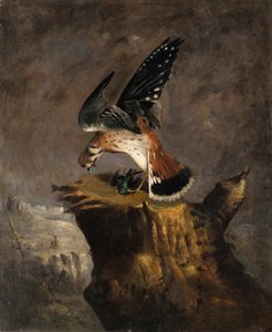 Geier und seine Beute, 1844