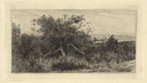 Knotiger Baum von Robert Swain Gifford