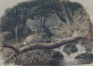 Der Eingang zu einem Wald, 1836