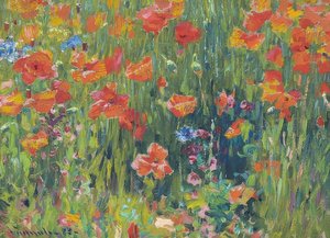 Mohnblumen