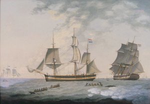 Walfang in der Arktis von Robert Willoughby