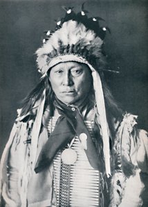 Ein Sioux-Häuptling in seiner Kriegsbemalung von Robert Wilson Shufeldt
