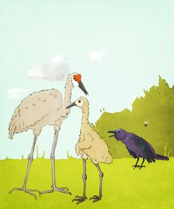 Gus Gus und der Rabe von Roberta Murray