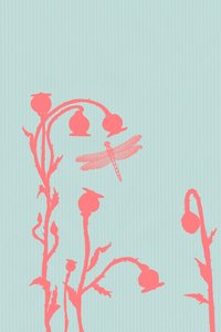 Die Mohnblume