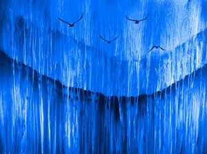 Tiefer blauer Flug