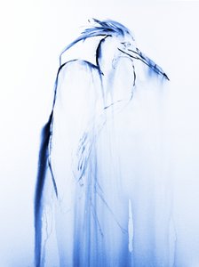 Fließender blauer Reiher von RodMacIver