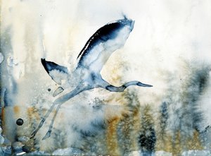 Anmutiger Reiherflug von RodMacIver