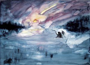 Reiher fliegt im Kometenhimmel von RodMacIver
