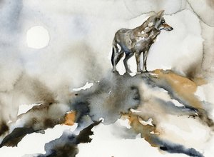 Einsamer Wolf Mond