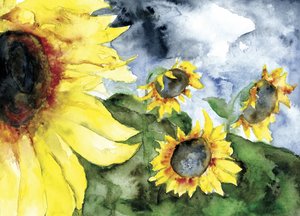 Sonnenblumen stürmischer Himmel von RodMacIver